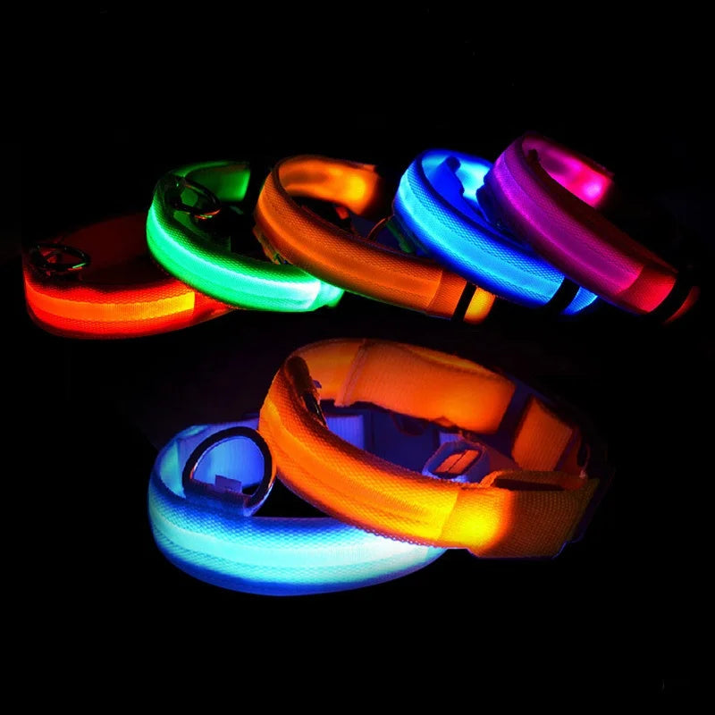 LED Luminous Eco-Friendly Modern Dog Collar Nylon Glowing USB Rechargeable Flashing Light-Up Safety Collar for Night Walking