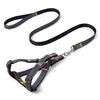 Premium Quality Durable Denim Dog Leash Harness Set Stylish Fur Collar Simple Design Small Medium Sizes for Cats Furry Friends