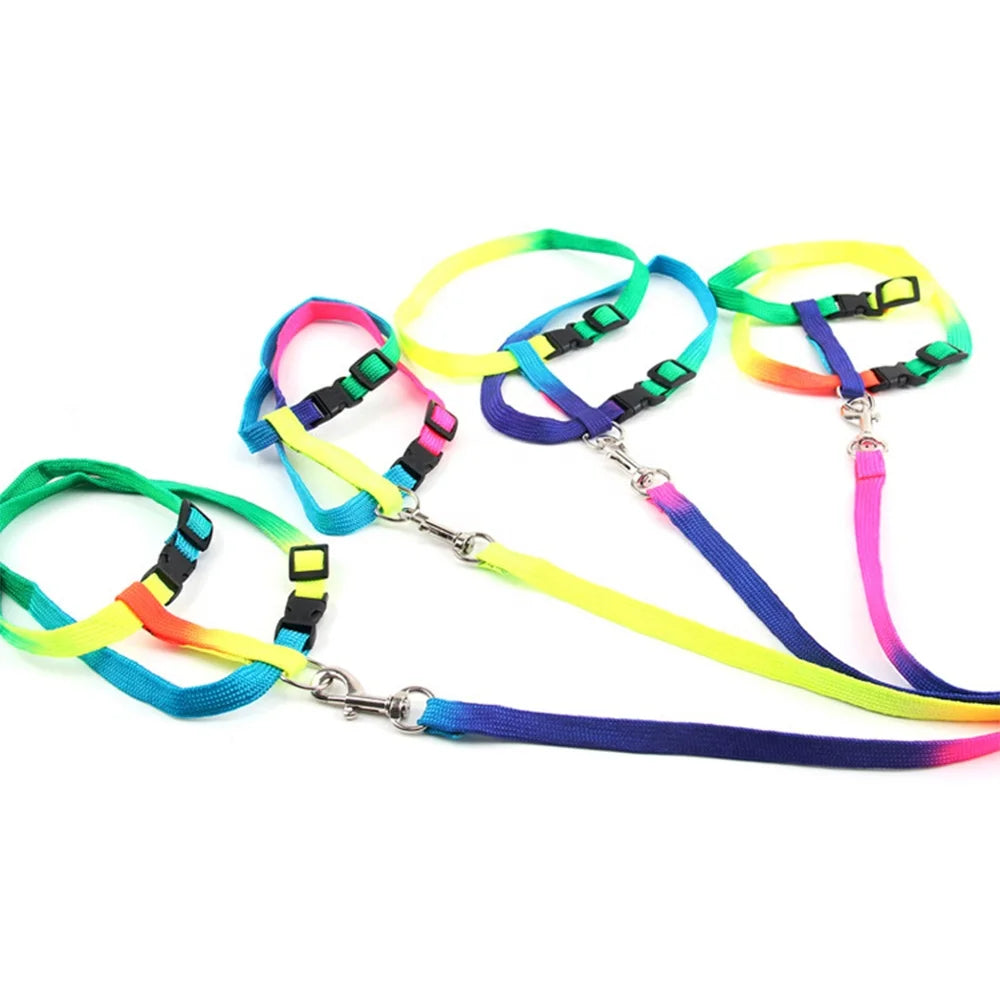 Simple Fashionable Rainbow Printed Cat Harness Leash Set Escape Proof Nylon Buckles Fur Ribbon for Walking Small Pet Rabbits