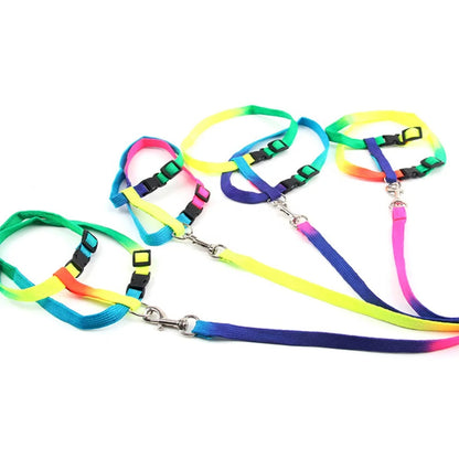 Simple Fashionable Rainbow Printed Cat Harness Leash Set Escape Proof Nylon Buckles Fur Ribbon for Walking Small Pet Rabbits