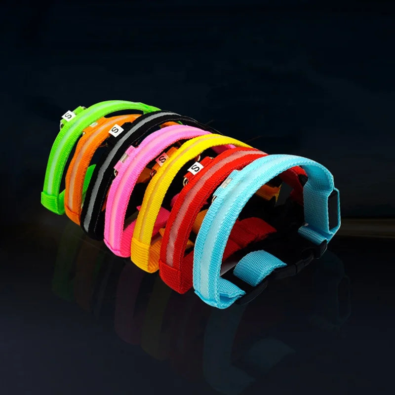 LED Luminous Eco-Friendly Modern Dog Collar Nylon Glowing USB Rechargeable Flashing Light-Up Safety Collar for Night Walking