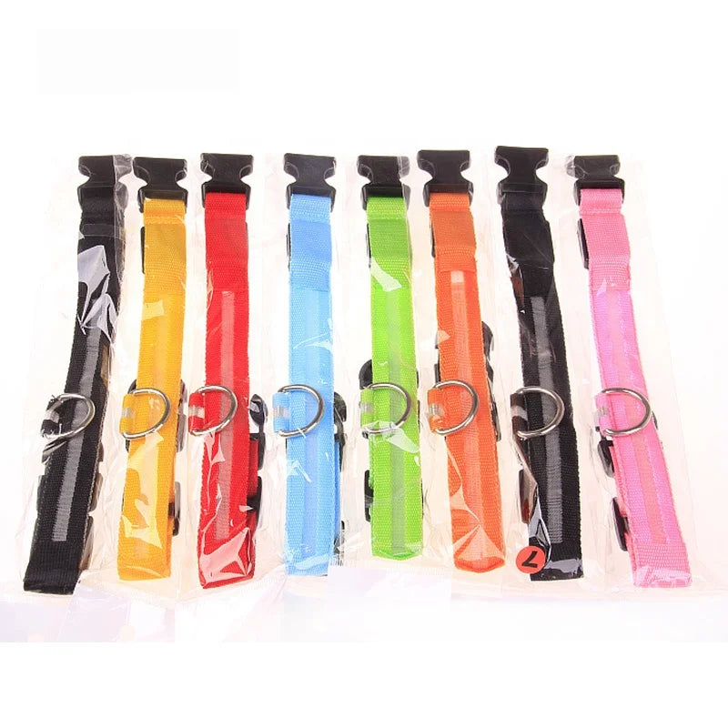 LED Luminous Eco-Friendly Modern Dog Collar Nylon Glowing USB Rechargeable Flashing Light-Up Safety Collar for Night Walking