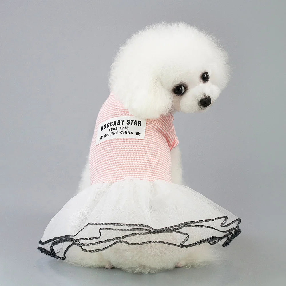 Elegant Lace Design Summer Dress for Small Pets Classic Striped Luxury Cute Pet Apparel Accessories for Dogs for Spring Season