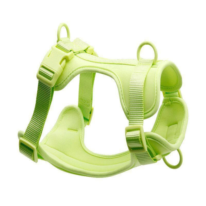 Luxury Eco-Friendly Classic Small Large Dogs Polyester Fiber Adjustable Solid Pet Harness D-Ring Perfect Matching Dog Leashes