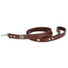 Wholesale GorisPet Luxury Punk Fashion Dog Leash Skeleton Skull Bone Decoration PU Material Solid Pattern Metal Ornaments