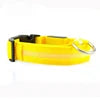 LED Luminous Eco-Friendly Modern Dog Collar Nylon Glowing USB Rechargeable Flashing Light-Up Safety Collar for Night Walking
