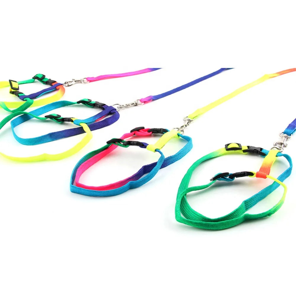 Simple Fashionable Rainbow Printed Cat Harness Leash Set Escape Proof Nylon Buckles Fur Ribbon for Walking Small Pet Rabbits