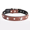 Punk Style Luxury Leather Dog Collar Star Design Fashion Solid Pattern Fur Decoration Metal Buckle Made PU-Ins Pet Leashes
