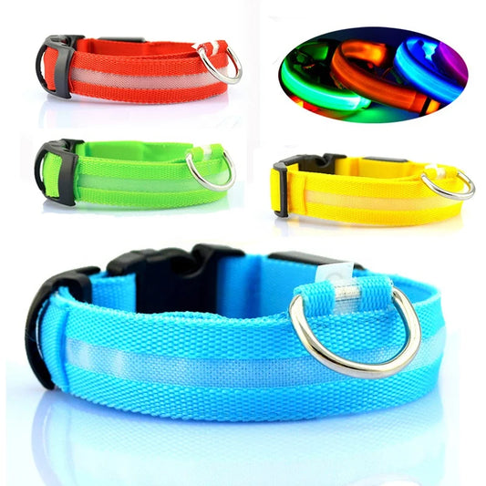 LED Luminous Eco-Friendly Modern Dog Collar Nylon Glowing USB Rechargeable Flashing Light-Up Safety Collar for Night Walking