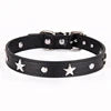 Punk Style Luxury Leather Dog Collar Star Design Fashion Solid Pattern Fur Decoration Metal Buckle Made PU-Ins Pet Leashes