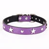 Punk Style Luxury Leather Dog Collar Star Design Fashion Solid Pattern Fur Decoration Metal Buckle Made PU-Ins Pet Leashes