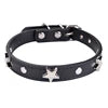 Luxury High Quality PU Dog Collar with Elegant Metal Buckle 3D Star Decoration Solid Pattern Elegant Style