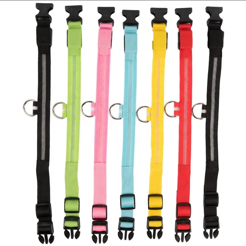 LED Luminous Eco-Friendly Modern Dog Collar Nylon Glowing USB Rechargeable Flashing Light-Up Safety Collar for Night Walking