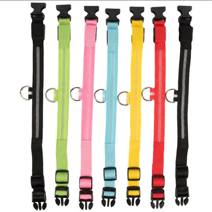 LED Luminous Eco-Friendly Modern Dog Collar Nylon Glowing USB Rechargeable Flashing Light-Up Safety Collar for Night Walking