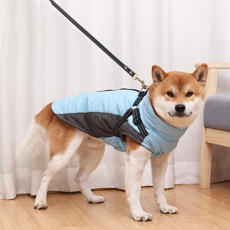Wholesale Dog Winter Leisure Jacket Warm Quilted Fleece Polyester Coat Reflective Strips D-Ring Leash Waterproof for Outdoor Use