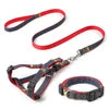 Premium Quality Durable Denim Dog Leash Harness Set Stylish Fur Collar Simple Design Small Medium Sizes for Cats Furry Friends