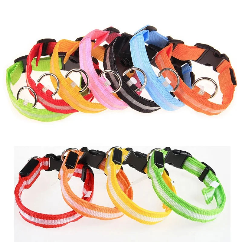 LED Luminous Eco-Friendly Modern Dog Collar Nylon Glowing USB Rechargeable Flashing Light-Up Safety Collar for Night Walking