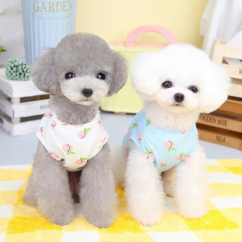 Cute Peach Printing Yorkie Chihuahua Dog Polyester Vests with Harness Ring for Summer Spring Classic Design Wholesale