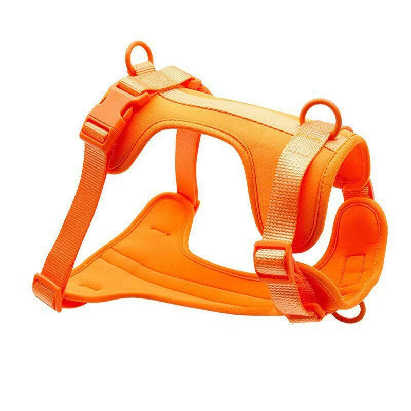 Luxury Eco-Friendly Classic Small Large Dogs Polyester Fiber Adjustable Solid Pet Harness D-Ring Perfect Matching Dog Leashes