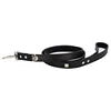 Wholesale GorisPet Luxury Punk Fashion Dog Leash Skeleton Skull Bone Decoration PU Material Solid Pattern Metal Ornaments