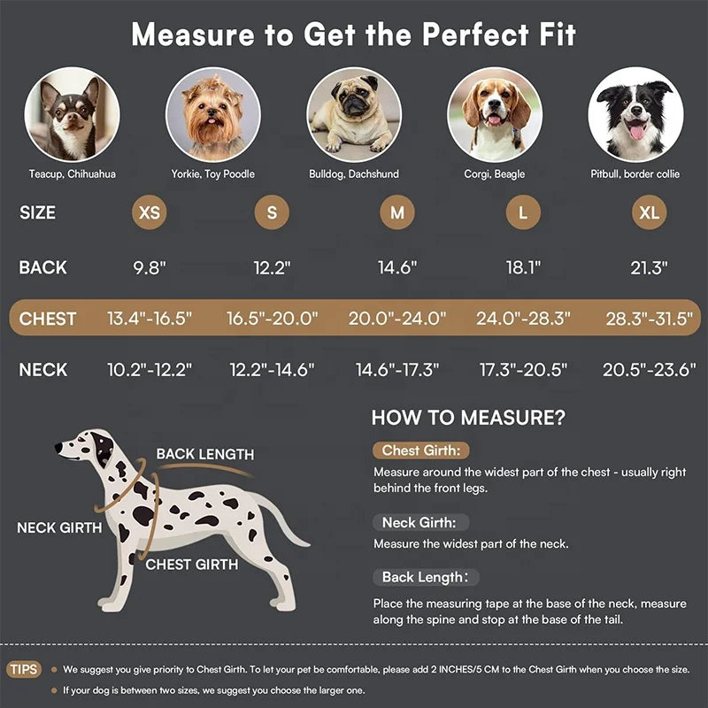 High Quality Popular Luxury Comfortable Dog Cat Waterproof Fleece Polyester Vest Coat Autumn Winter Warm Small/Medium/Large